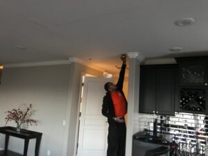 mold removal tech checking ceiling